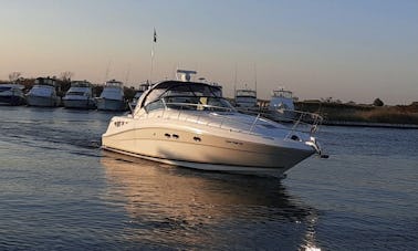 SeaRay Sundancer 41' Power Sport Yacht Crusie in Sag Harbor