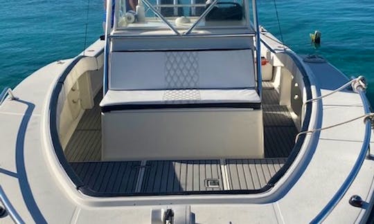 Ocean Master 33' Powerboat for Charter in Los Melones