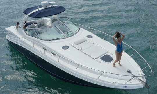 38ft Sea Ray Sundancer in Chicago, Burhnam Harbor (Up to 12 guests)