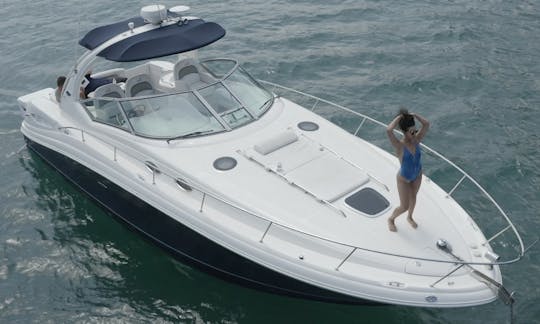 Sea Ray Sundancer de 38 pies en Chicago, Burhnam Harbor (hasta 12 huéspedes)