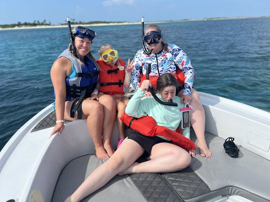 Porcos nadadores e snorkel na praia em família 