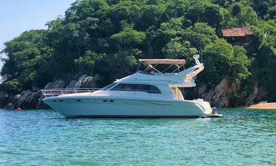 Luxurious SeaRay 50 Motor Yacht in Puerto Vallarta