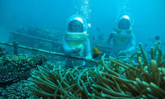 Sea Walker Adventure in Bali