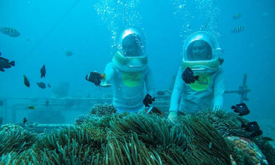 Sea Walker Adventure in Bali