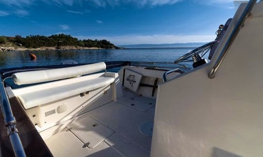 Elan 20 CC BOAT TOURS with skipper & for Rent in Zadar, Croatia