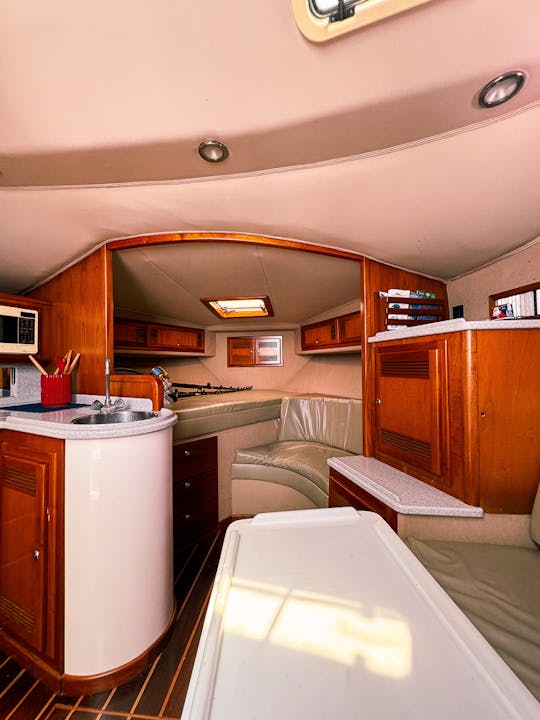Cabo 35 Express com Tower Yacht/Fishing Charter
