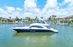 Gorgeous 58′ Searay Motor Yacht for Charter in Miami