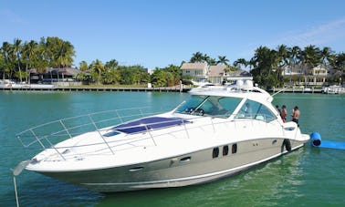 Lindo iate Sea Ray de 50 pés em Miami para até 13 pessoas