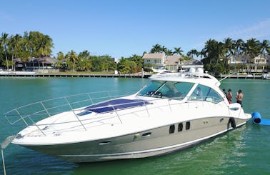 50foot Sea Ray Yacht * 13ppl  - Starting at $312 per hr - water toys: water carpet, Paddle board