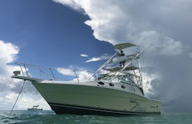 Motor Yacht rental in Key Largo (No fishing day)