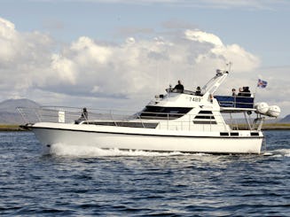 Yate de lujo para la observación privada de ballenas, excursiones con frailecillos y cruceros turísticos