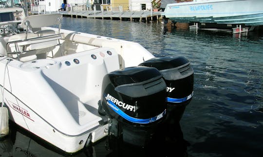 Boston Whaler 27' Center Console for Rent in Key Largo