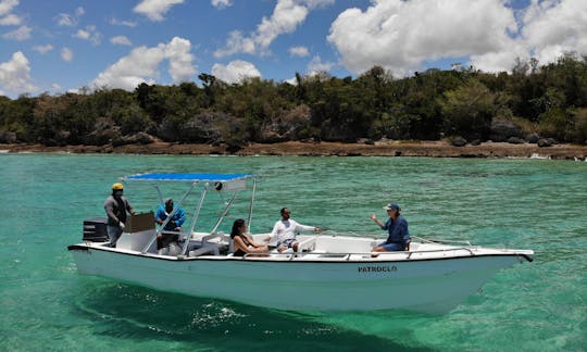 Private fast panga Saona island