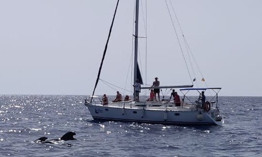 Admirez la beauté du sud de Tenerife avec le voilier Jeanneau Sun Odyssey de 37 minutes !