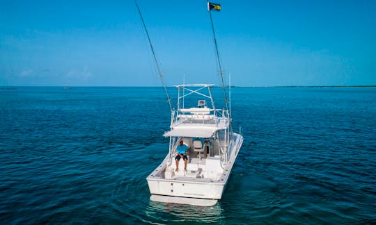 32ft Luhrs Deep Sea Fishing Charter in Nassau