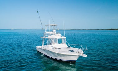 Charter de pêche en haute mer Luhrs de 32 pieds à Nassau