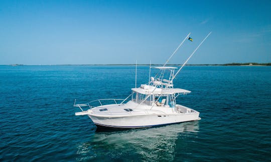 32ft Luhrs Deep Sea Fishing Charter in Nassau