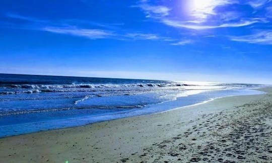 Once we land the boat on the Sound side of Shackleford, we will all walk together across the island onto the oceanside and the North Atlantic Ocean