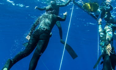 Freediving Discovery in Lanzarote