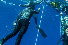 Freediving Discovery in Lanzarote