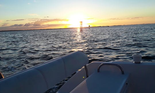 Century 22' Center Console - Clearwater Beach FL - Scenic cruises, dolphin tours, sunsets, fishing and more!