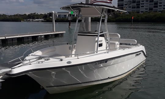 22' Center Console - Cruises, tours, sandbars, dolphins, sunsets and more!