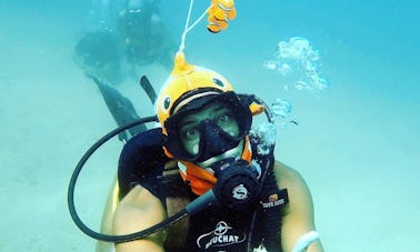 Discover Beginner Scuba Diving in Dibba Al Fujairah