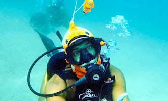 Discover Beginner Scuba Diving in Dibba Al Fujairah