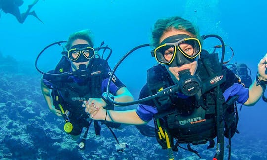 Discover Beginner Scuba Diving in Dibba Al Fujairah