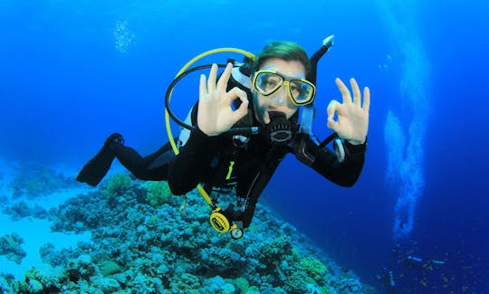 Discover Beginner Scuba Diving in Dibba Al Fujairah