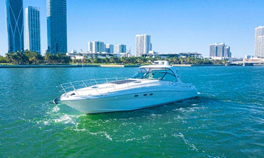 Spacious 54' Sea Ray Sundancer Motor Yacht in Downtown Miami/Miami