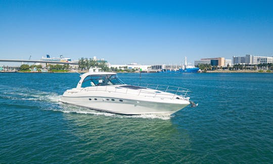 Amplio yate a motor Sea Ray Sundancer de 54 pies en el centro de Miami/Miami