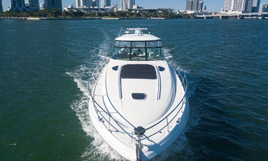 Espaçoso iate a motor Sea Ray Sundancer de 54 pés no centro de Miami/Miami