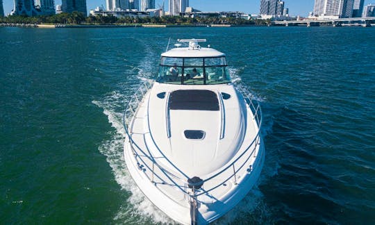 Spacious 54' Sea Ray Sundancer Motor Yacht in Downtown Miami/Miami