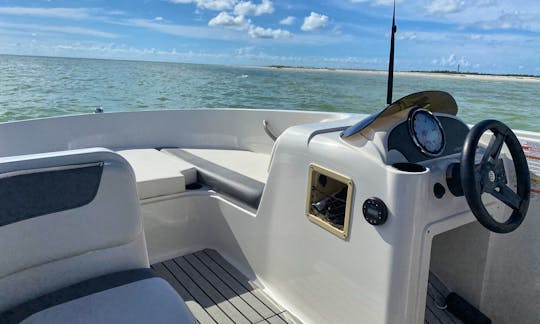 Easy to Drive Bayliner Deck Boat St. Petersburg, Clearwater and Tampa! (Weekday Specials!!)