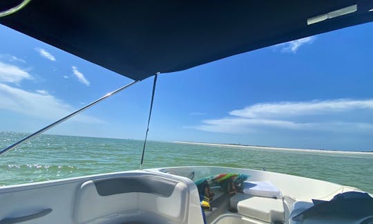 Drive The AWESOME Bayliner Deck Boat St. Petersburg, Clearwater and Tampa! (Weekday Specials!!)