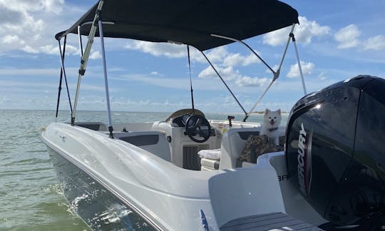 Easy to Drive Bayliner Deck Boat  (10% Off Weekday Specials!!)