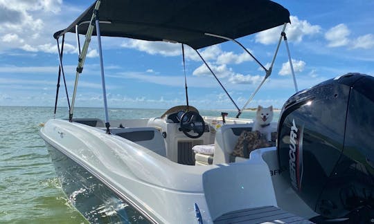 Easy to Drive Bayliner Deck Boat St. Petersburg, Clearwater and Tampa! (Weekday Specials!!)