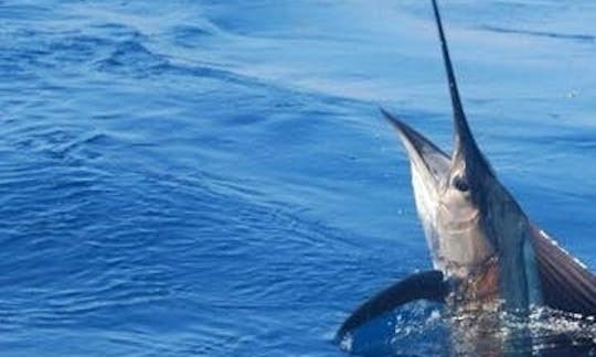 Full Day Deep Sea Fishing Charter on "Angler Management" Turks & Caicos Islands