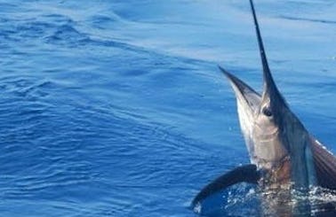 6hr Deep Sea Fishing Charter on "Angler Management" Turks & Caicos Islands