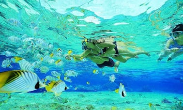 Excursion de plongée en apnée dans le magnifique golfe de Papagayo