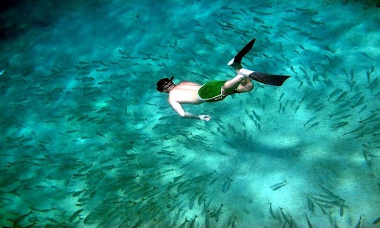 Snorkeling Tour on the beautiful Gulf of Papagayo