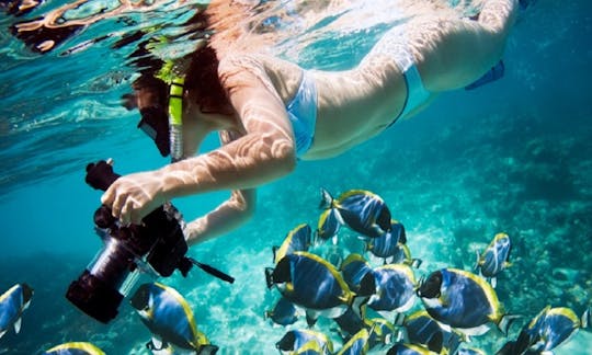 Snorkeling Tour on the beautiful Gulf of Papagayo