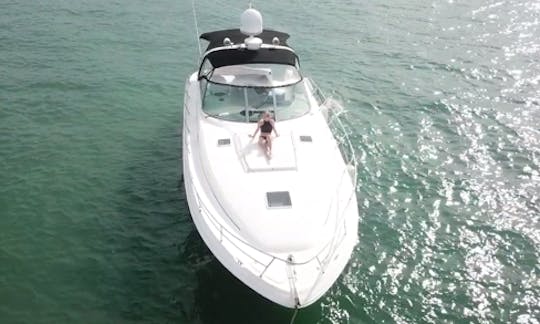 Un yacht Sea Ray Sundancer de 45 pieds à Miami Beach !