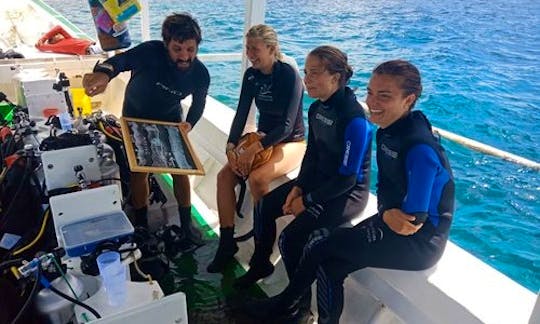 SSI and PADI Diving Courses for Beginner to Professionals in Nusapenida