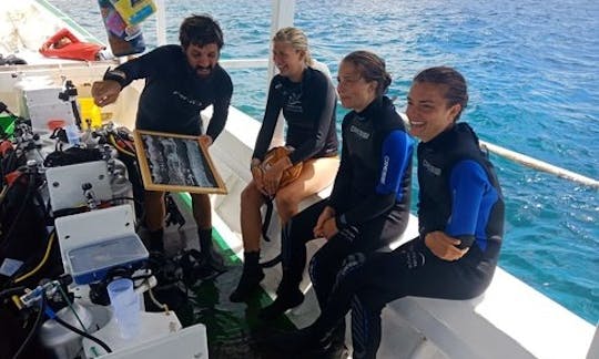 SSI and PADI Diving Courses for Beginner to Professionals in Nusapenida