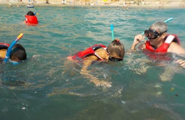 Snorkeling activity with Marine Biologist in Catalunya, Spain