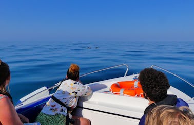 Explore Ria Formosa Lagoon! Rent a Boat with a Skipper!
