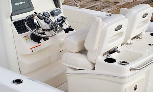 Rent 25ft Boston Whaler Center Console in Jolly Harbour