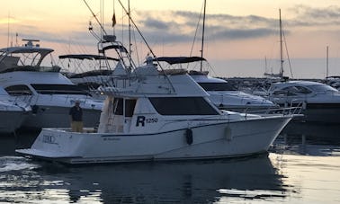 Rodman 1250 R Sport Fisherman Charter in Puerto Banús Marbella, Spain